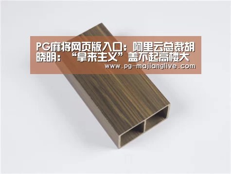 PG麻将网页版入口:阿里云总裁胡晓明:“拿来主义”盖不起高楼大厦(图3) PG麻将网页版入口