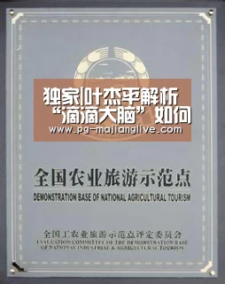 独家|叶杰平解析“滴滴大脑”如何助力其出行服务-PG官方入口(图1) PG电子官网