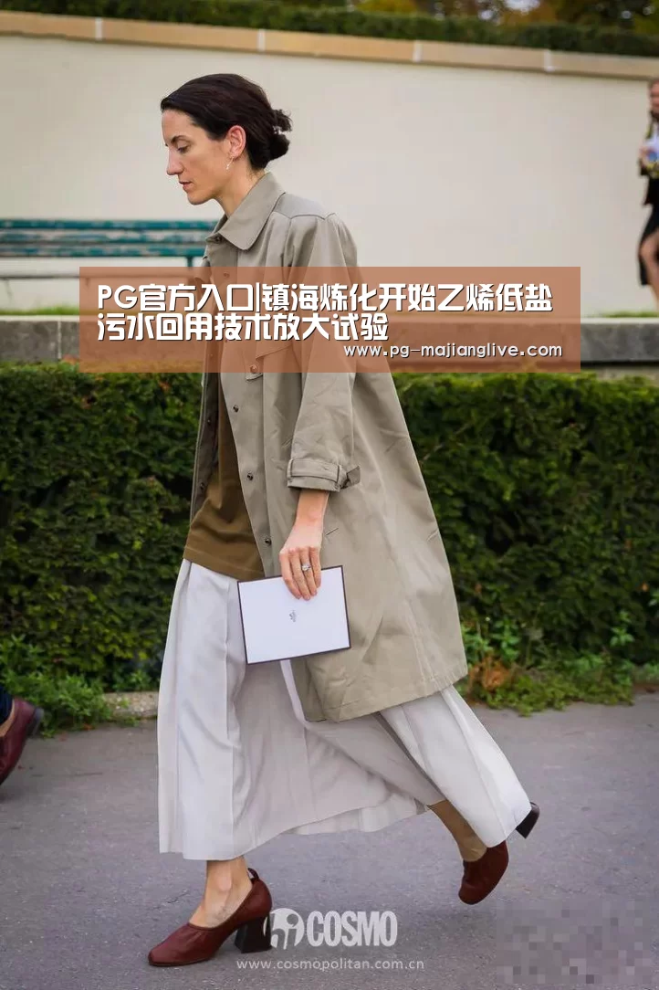 PG官方入口|镇海炼化开始乙烯低盐污水回用技术放大试验(图1) PG电子官网