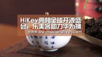 HiKey亮相全球开源盛会,乐美客助力华为拥抱开源‘PG官方入口’(图3) PG电子官网