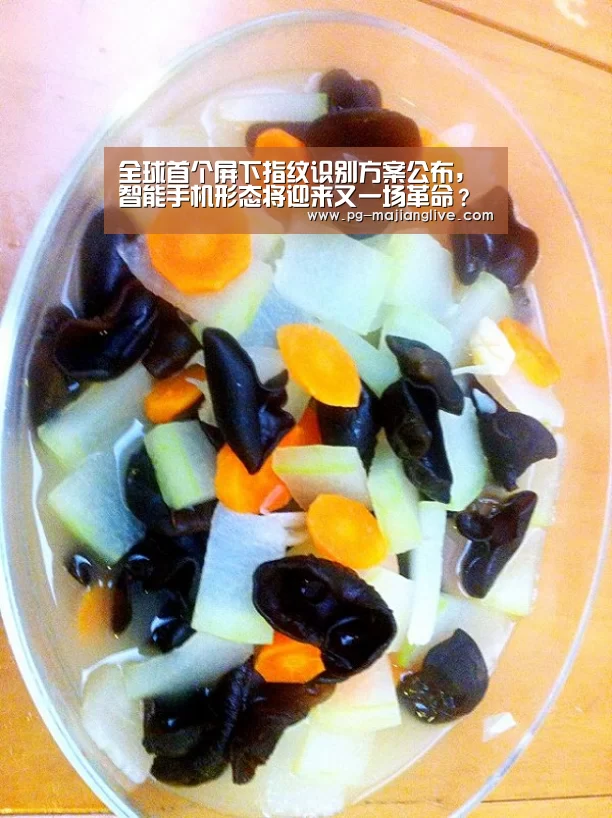 全球首个屏下指纹识别方案公布,智能手机形态将迎来又一场革命?-PG电子官网(图3) PG官方入口