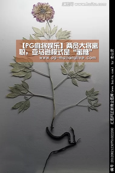 【PG麻将娱乐】两员大将离职,亚马逊模式是“蜜糖”还是“毒药”?5位从业者纵论无人零售(图1) PG电子官网
