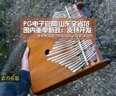 PG麻将网页版入口