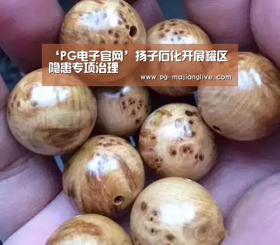 PG麻将网页版入口