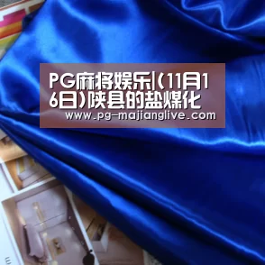 PG麻将娱乐|(11月16日)陕县的盐煤化工产业链(图3) PG麻将娱乐