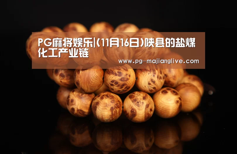 PG麻将娱乐|(11月16日)陕县的盐煤化工产业链(图2) PG电子官网