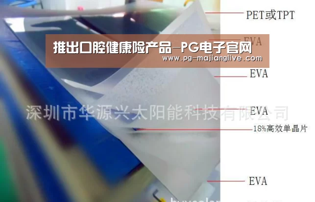 推出口腔健康险产品-PG电子官网(图2) PG官方入口
